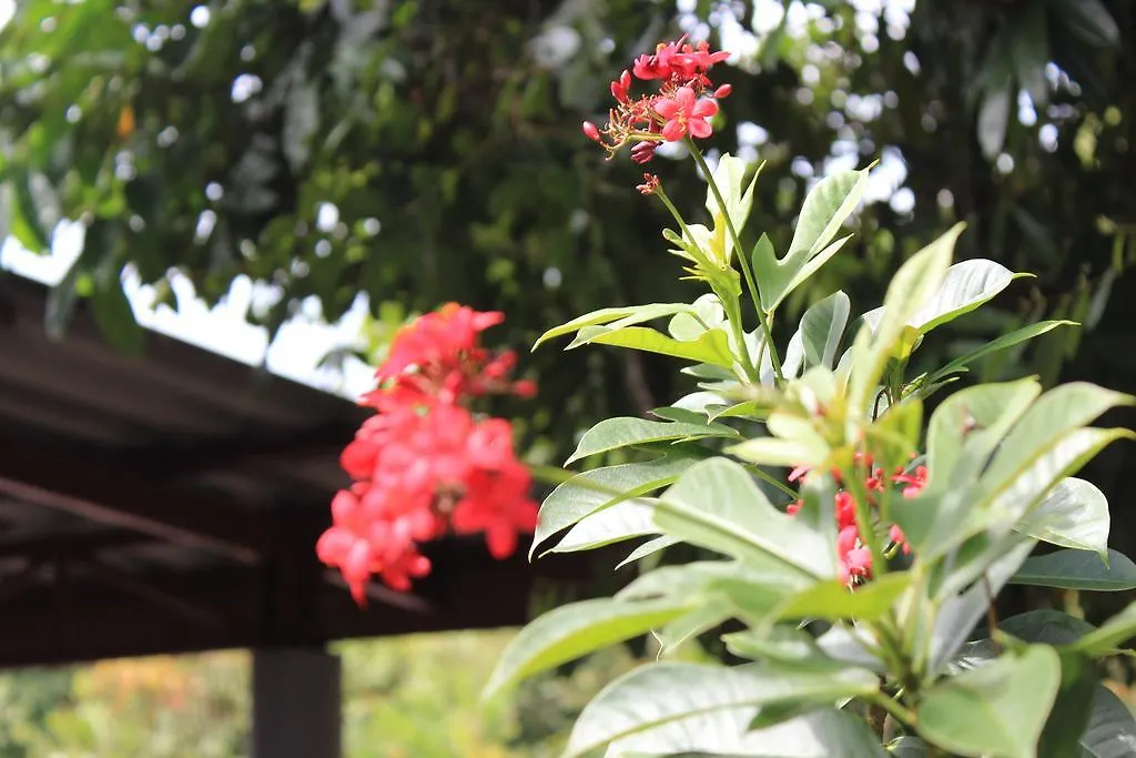 Resort Hotel Lanta Happy Hill Ko Lanta